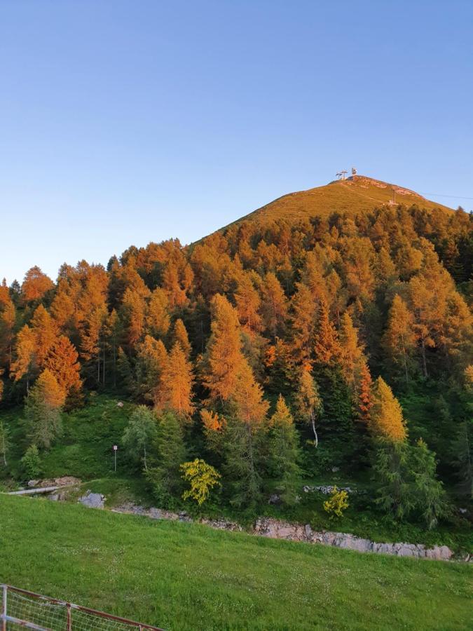 فندق بارزيوفي  Rifugio Campelli المظهر الخارجي الصورة